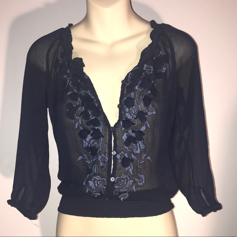 Sheer Blue Blouse - Picture 1 of 6